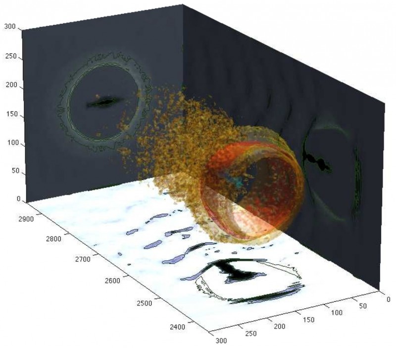 particle in cell simulation